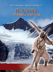 Copertina  Il Gavia in guerra e in pace : la strada, la guerra, i protagonisti, le memorie degli alpini: Battaglione Valtellina, diario di guerra di Giacomo Perico